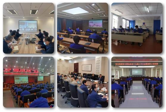 老哥俱乐部-老哥必备的交流社区